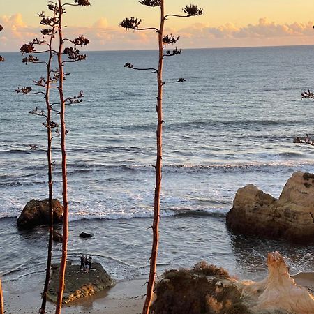 Apartamento Da Avo Te - Em Frente A Praia C Piscina Portimão Exterior foto
